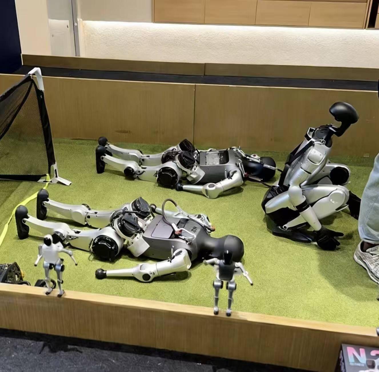 Humanoid Robots